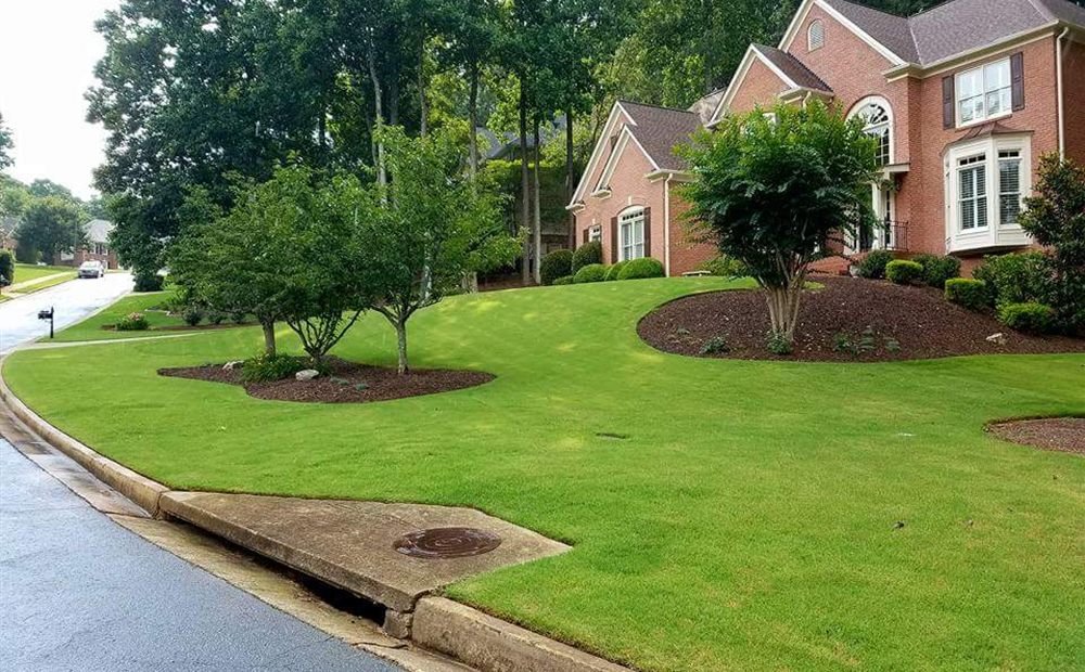 Lush front-yard lawn with sculpted shrub beds at a brick home