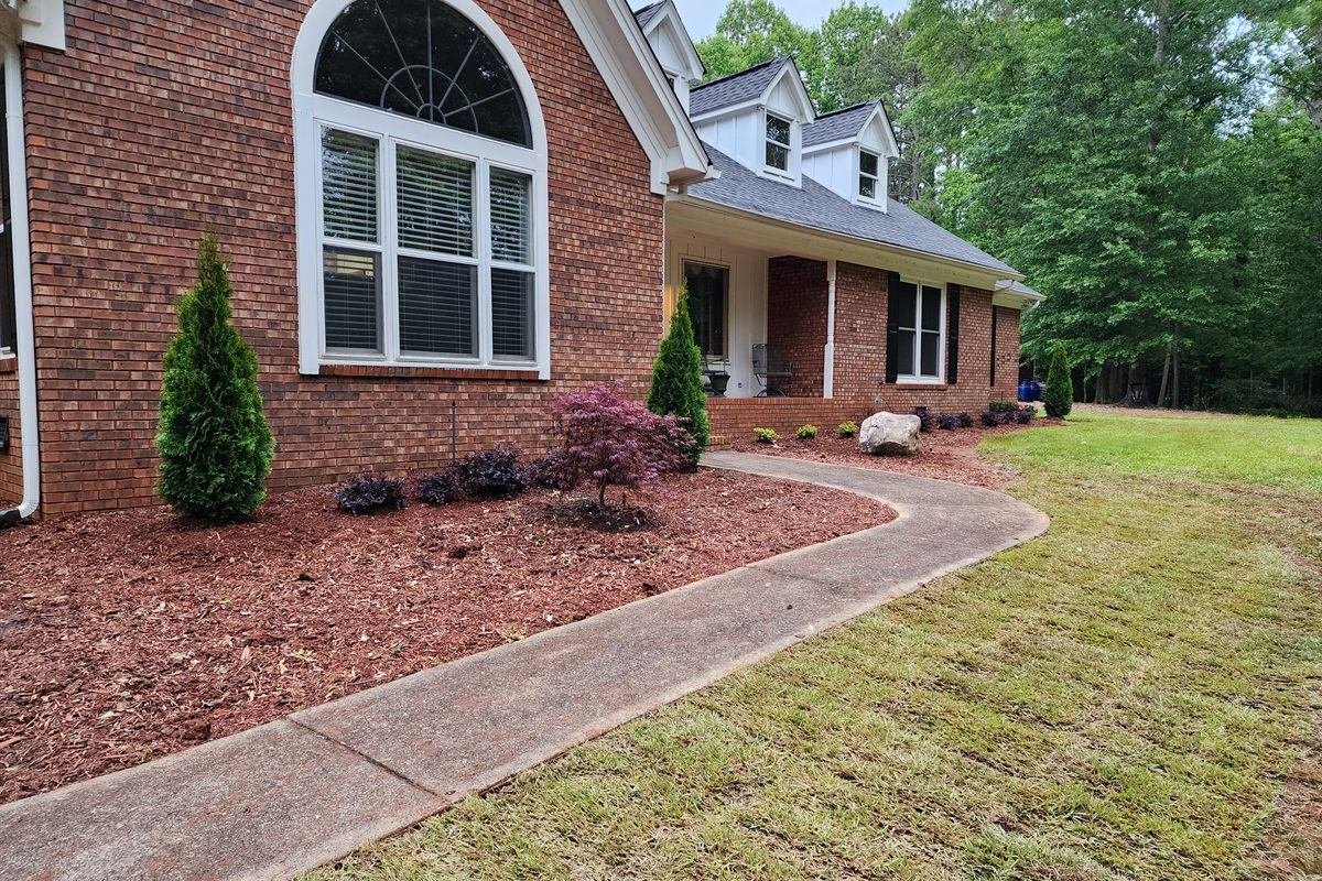 Foundation bed of dwarf conifers along a walkway at a brick ranch home