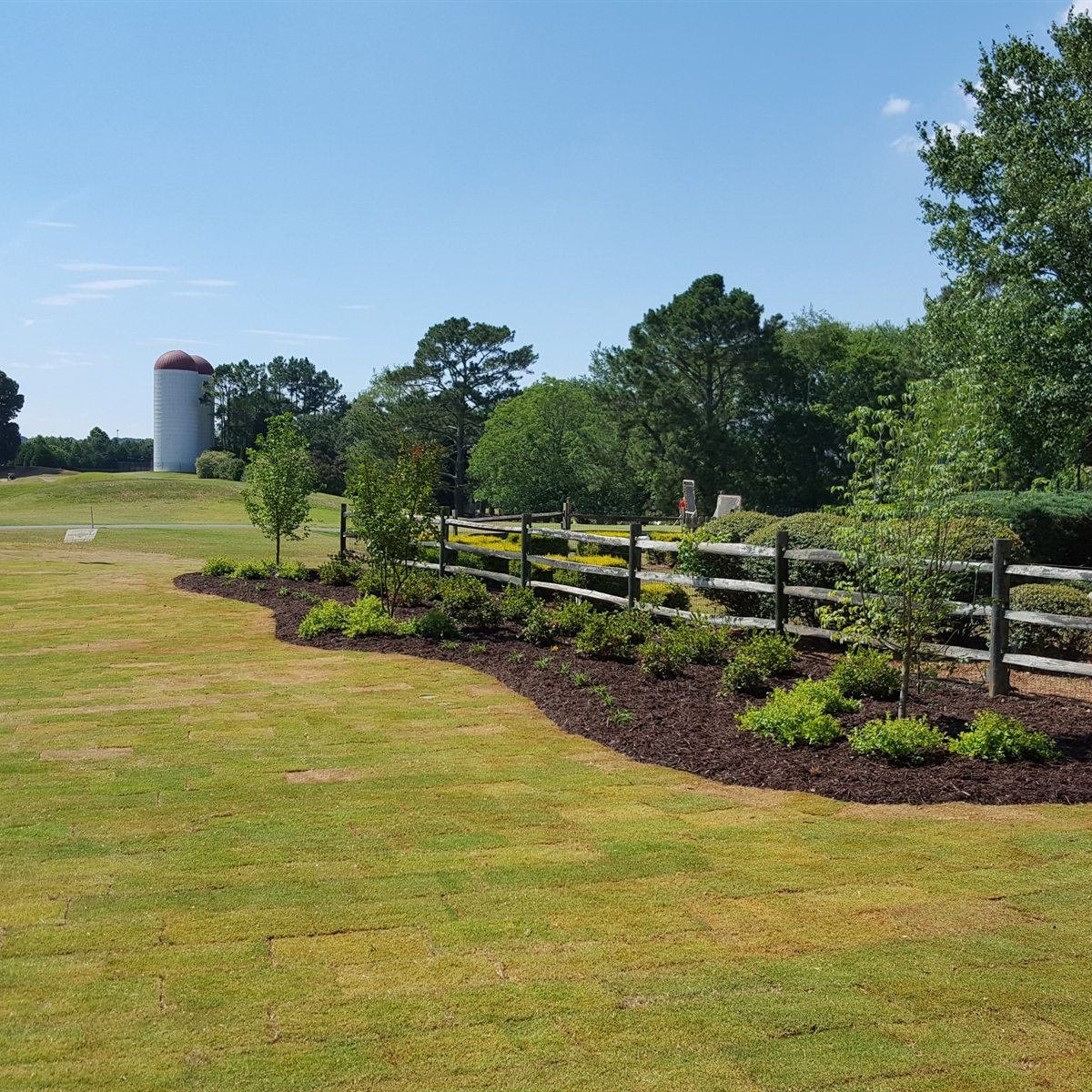 Estate landscape with a sweeping lawn and curved planting beds