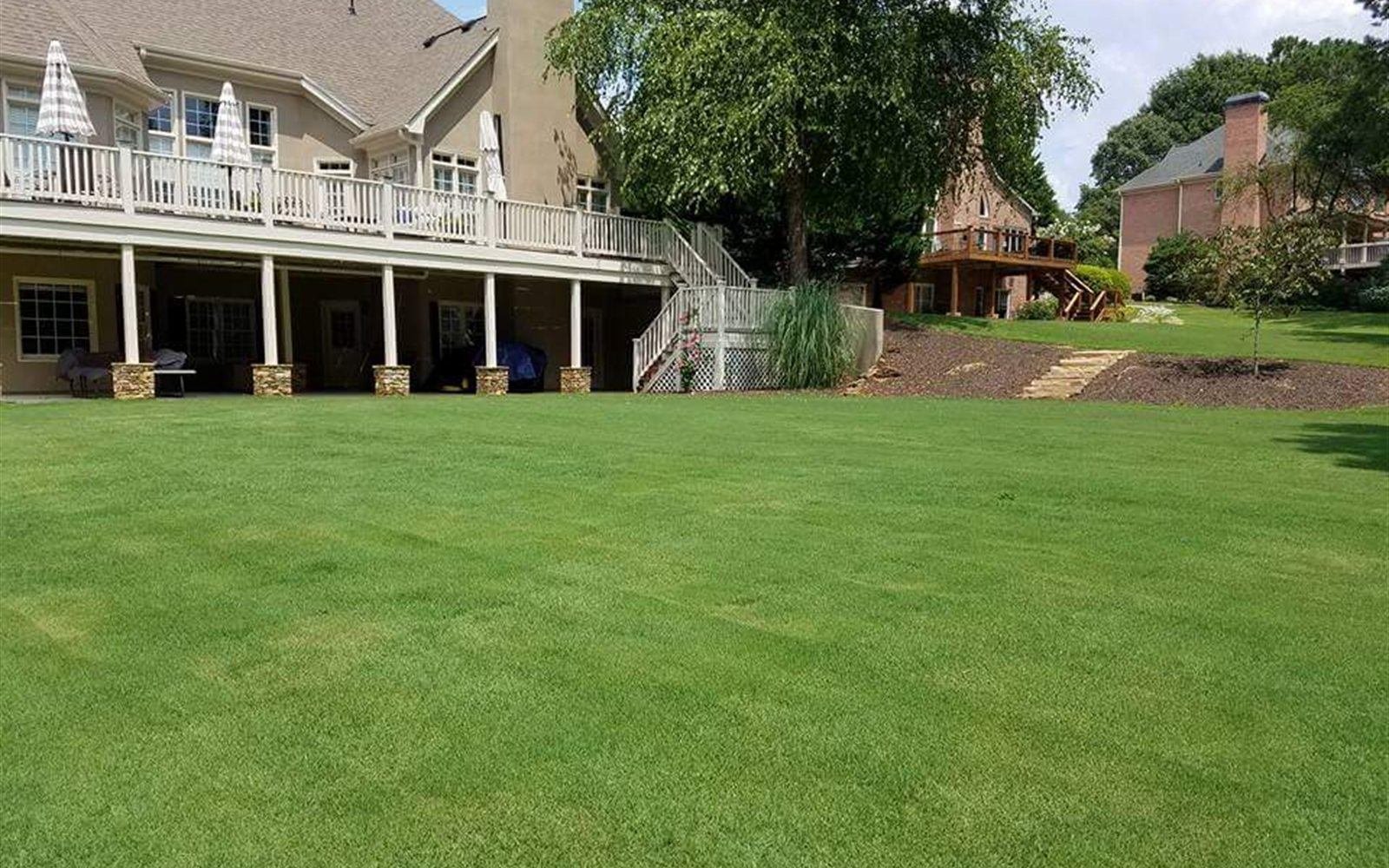 Freshly installed, immaculate green sod lawn behind a large home
