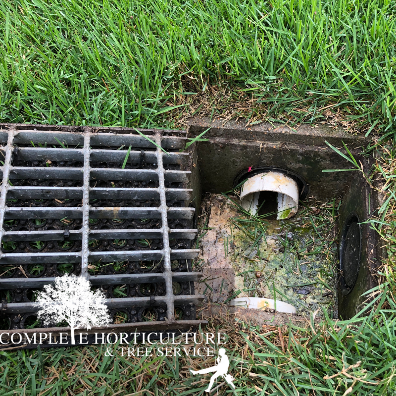 French Drains