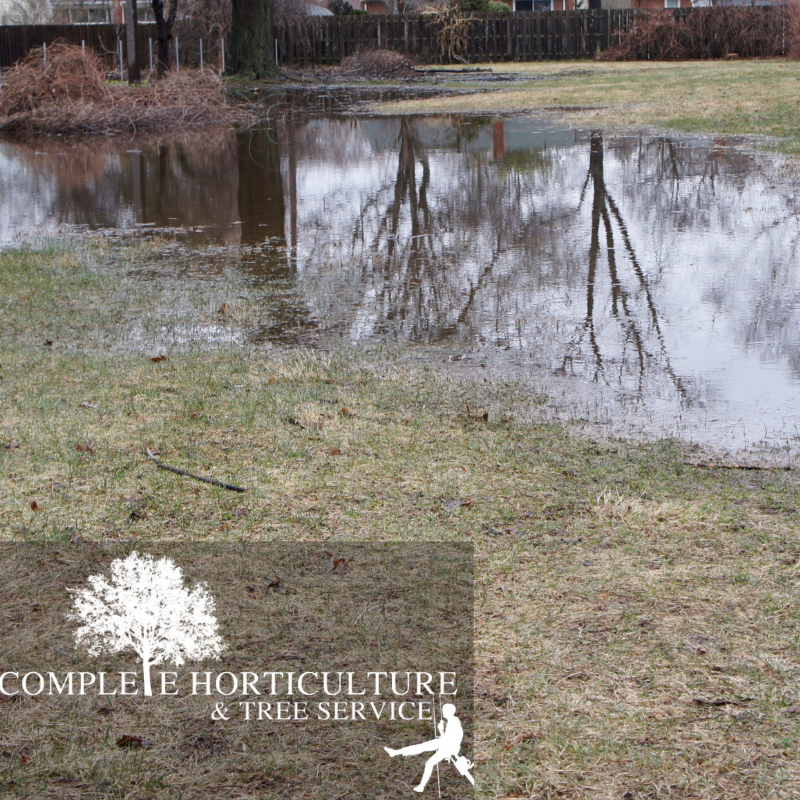 Slopped Yard Flood