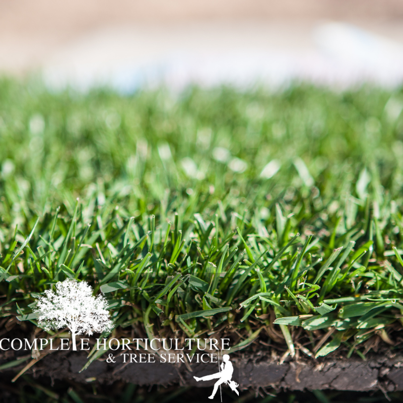 Sod Installation