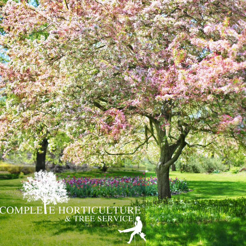 Spring Landscaping