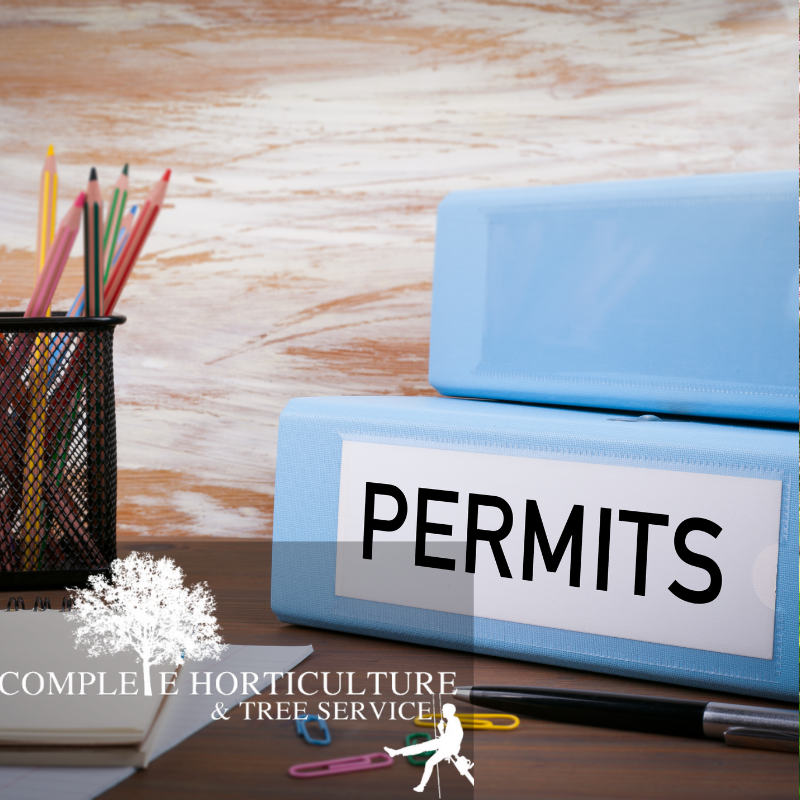 Tree Removal Permits Canton Ga