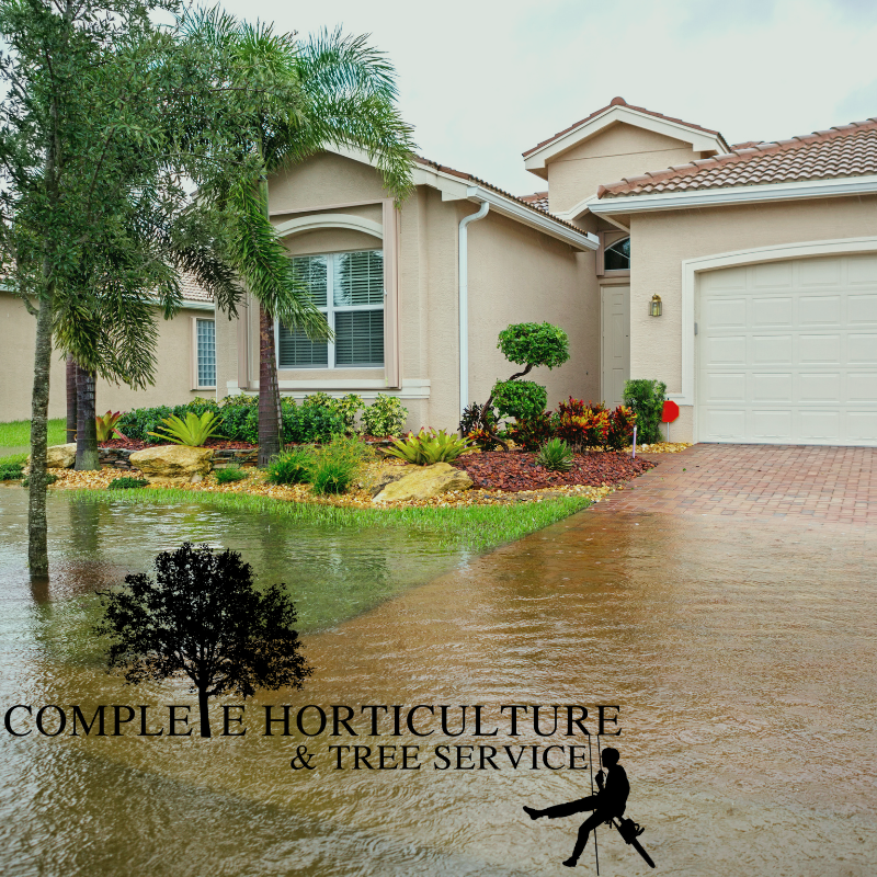 Alpharetta Flood Zone Management