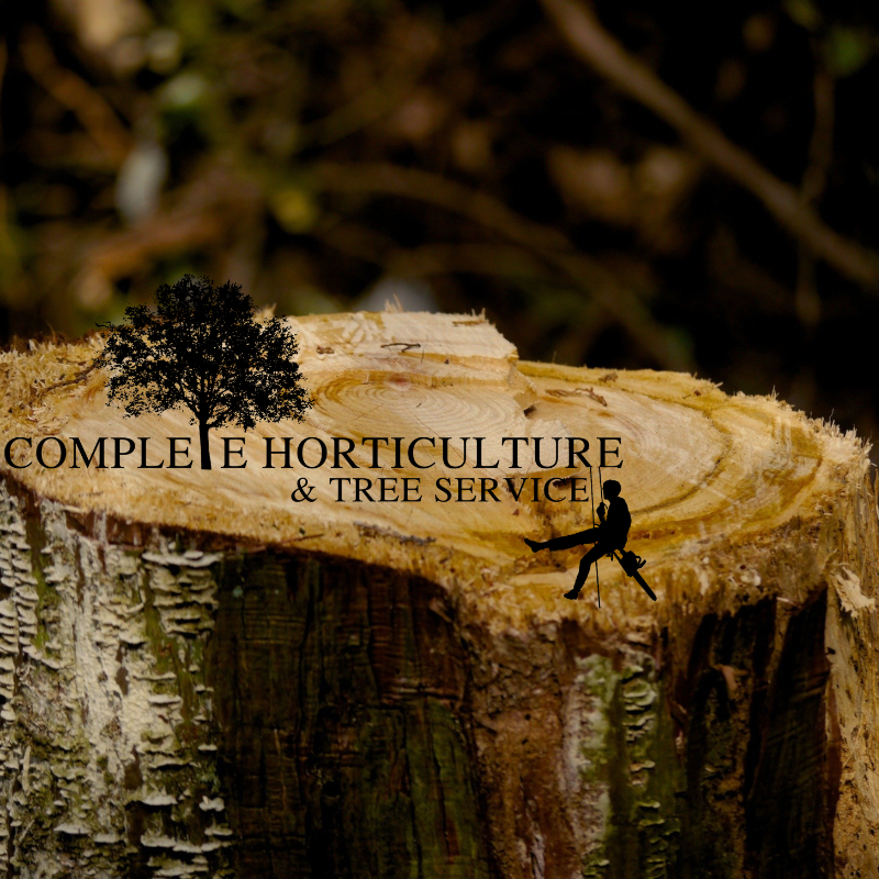 Canton GA Stump Removal