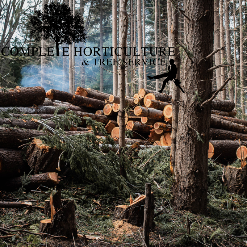 Canton GA Tree Removal