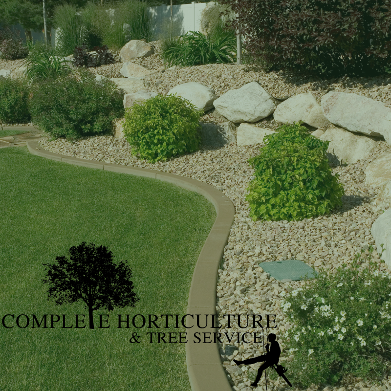 Complete Guide to Landscaping