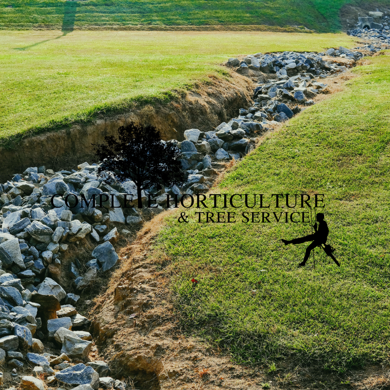 Landscaping Drainage